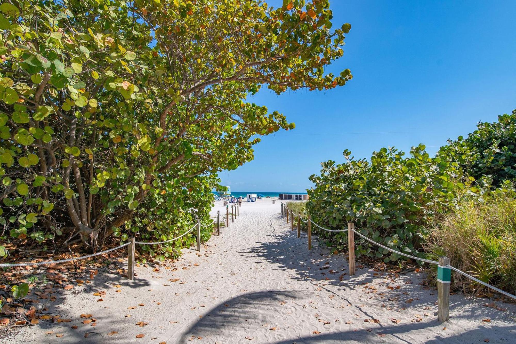 Charming Large Studio Near Ocean Dr - South Beach Μαϊάμι Μπιτς Εξωτερικό φωτογραφία