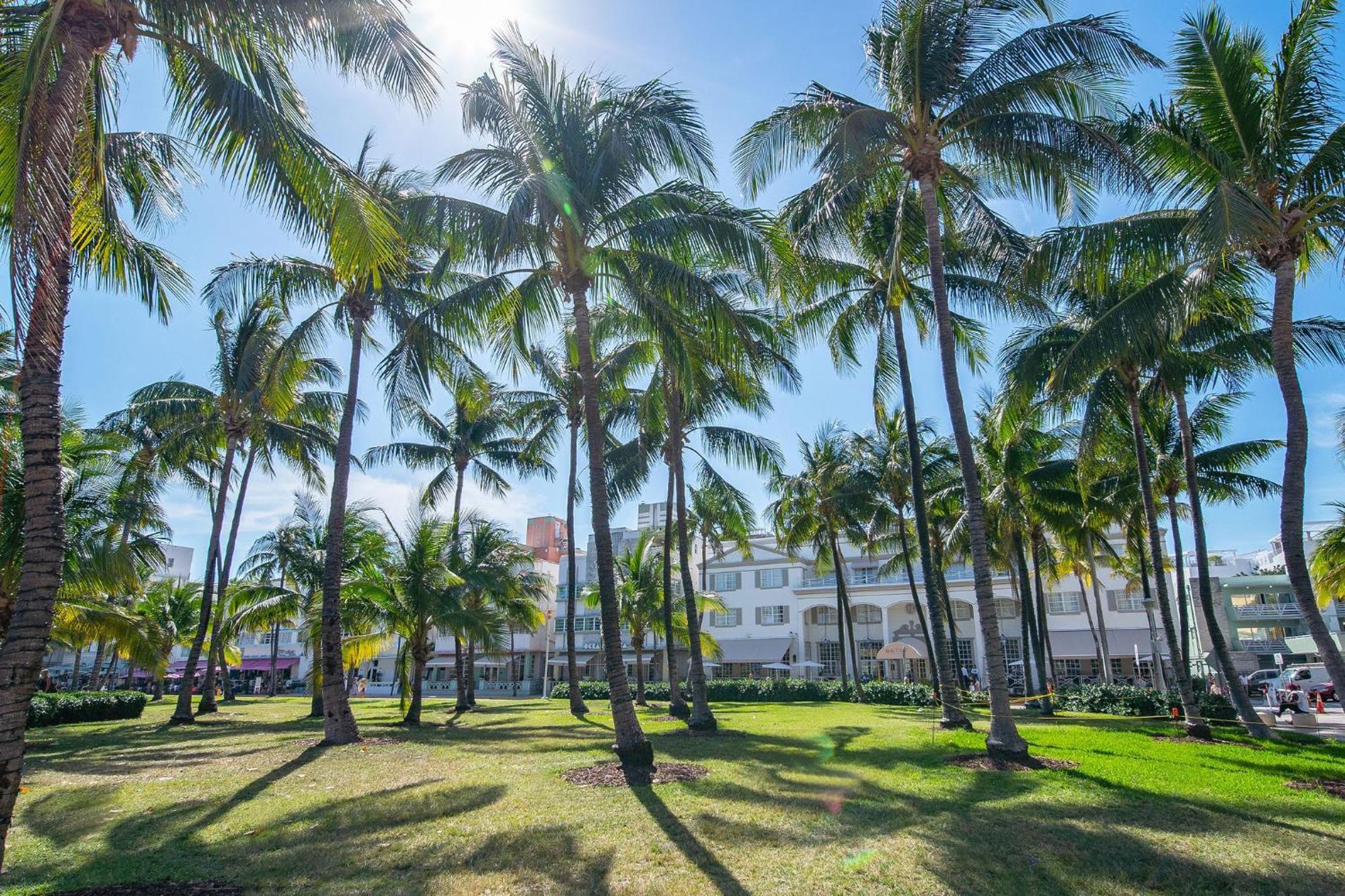 Charming Large Studio Near Ocean Dr - South Beach Μαϊάμι Μπιτς Εξωτερικό φωτογραφία